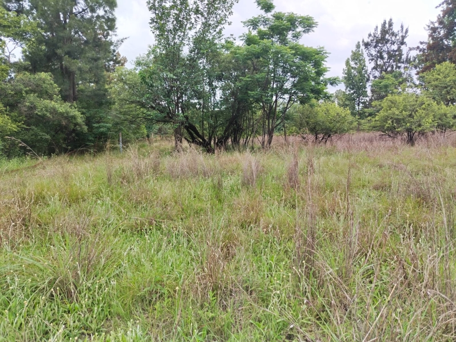 Commercial Property for Sale in Buffelsfontein A H North West